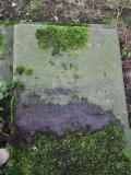 image of grave number 605347